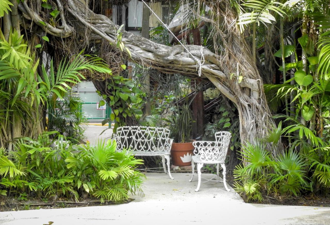Eco-Hotel El Rey Del Caribe Канкун Экстерьер фото