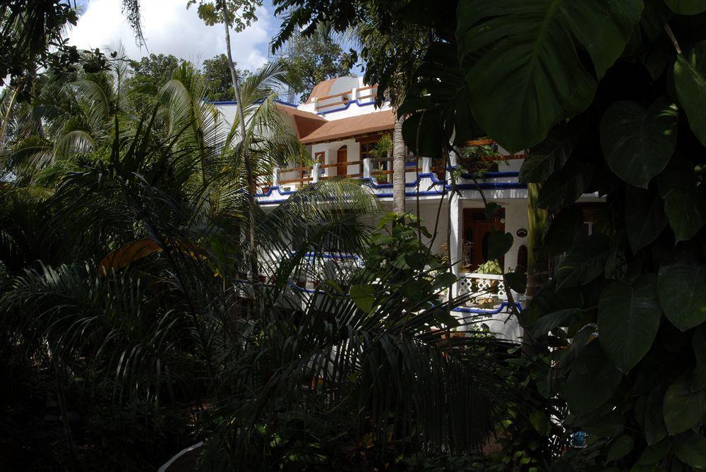 Eco-Hotel El Rey Del Caribe Канкун Экстерьер фото