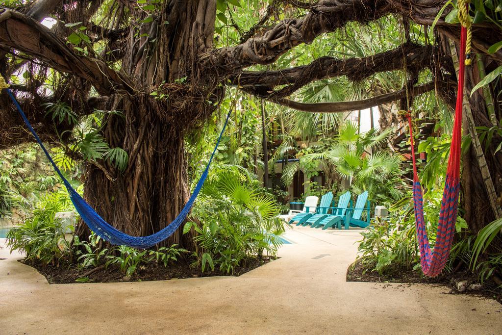 Eco-Hotel El Rey Del Caribe Канкун Экстерьер фото