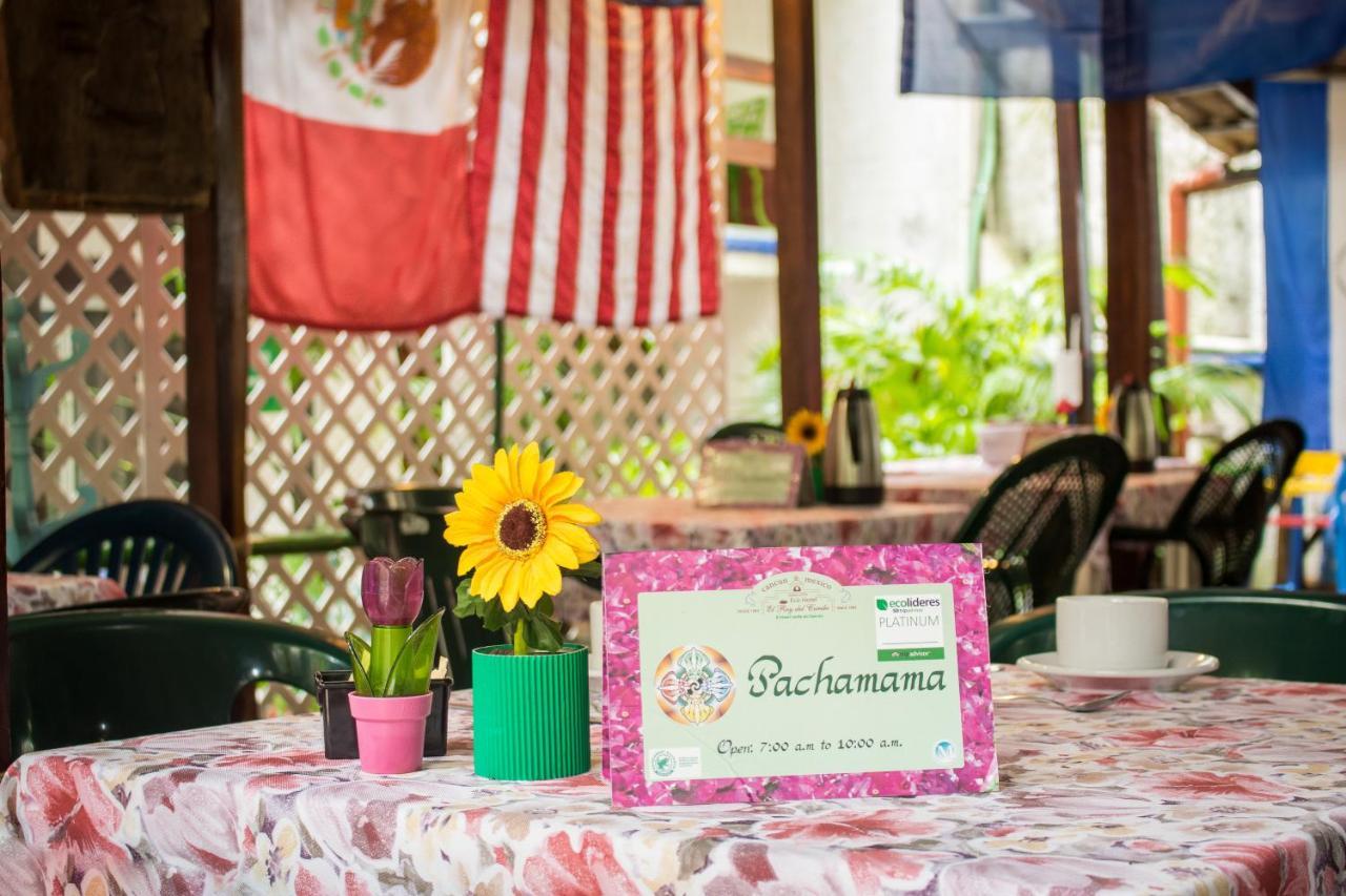 Eco-Hotel El Rey Del Caribe Канкун Экстерьер фото